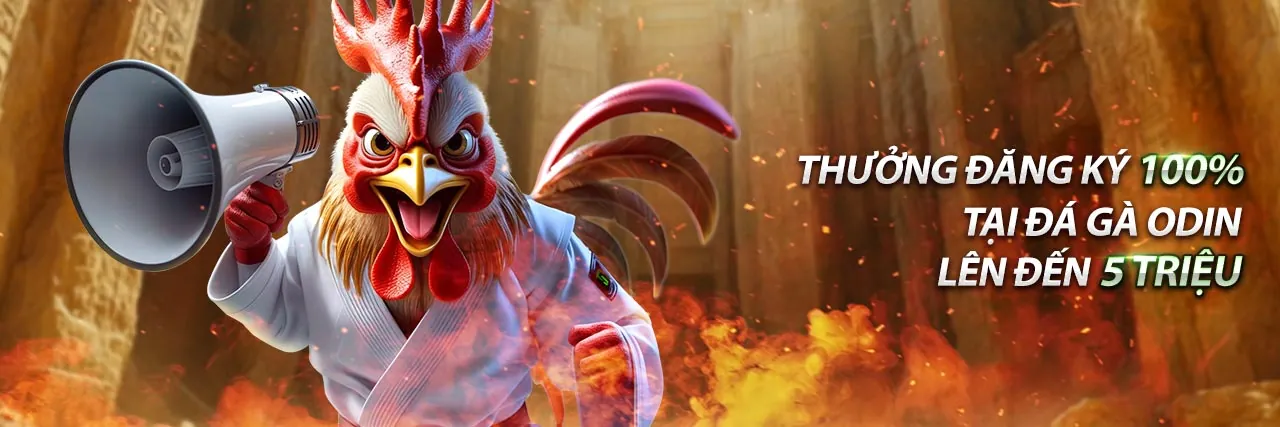 Đá gà trực tiếp hôm nay