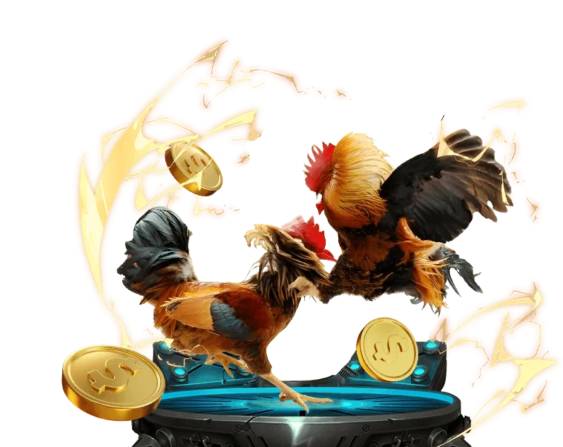 Đa dạng các trận đấu đá gà